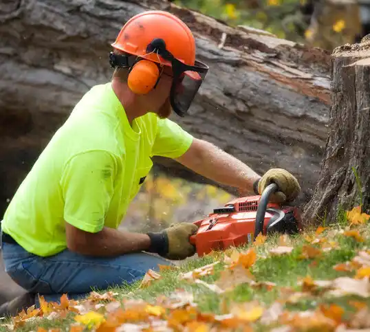 tree services Gorman